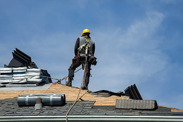 Professional Roof Replacement technician working in Gridley, IL